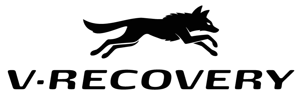 logo V-Recovery